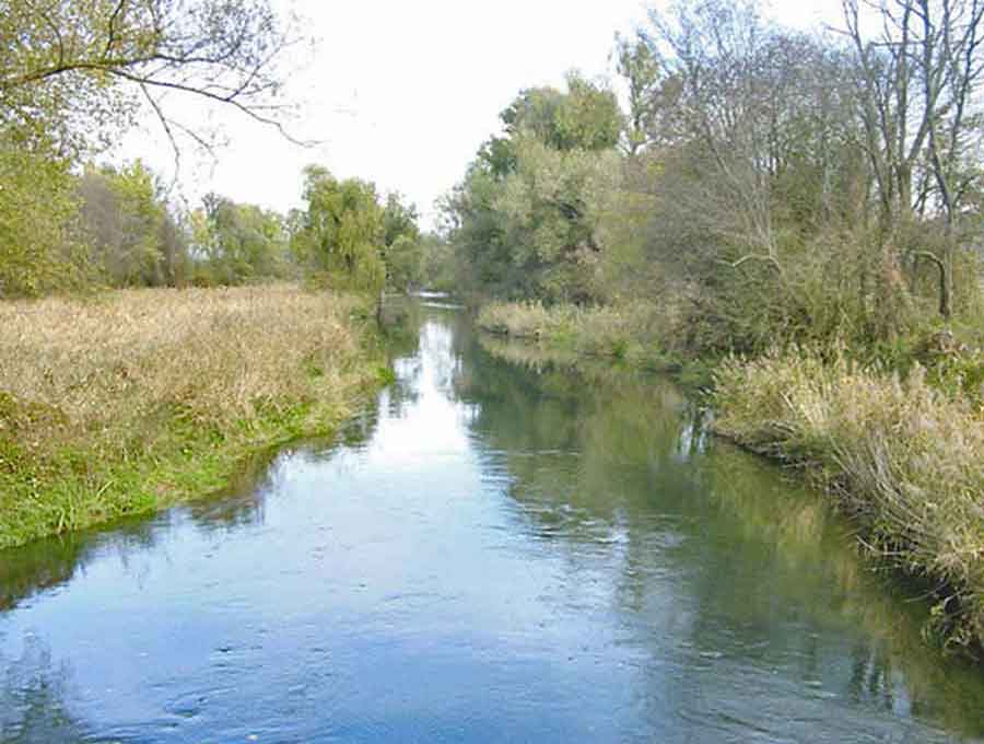 Fischgew&auml;sser Hamerbach