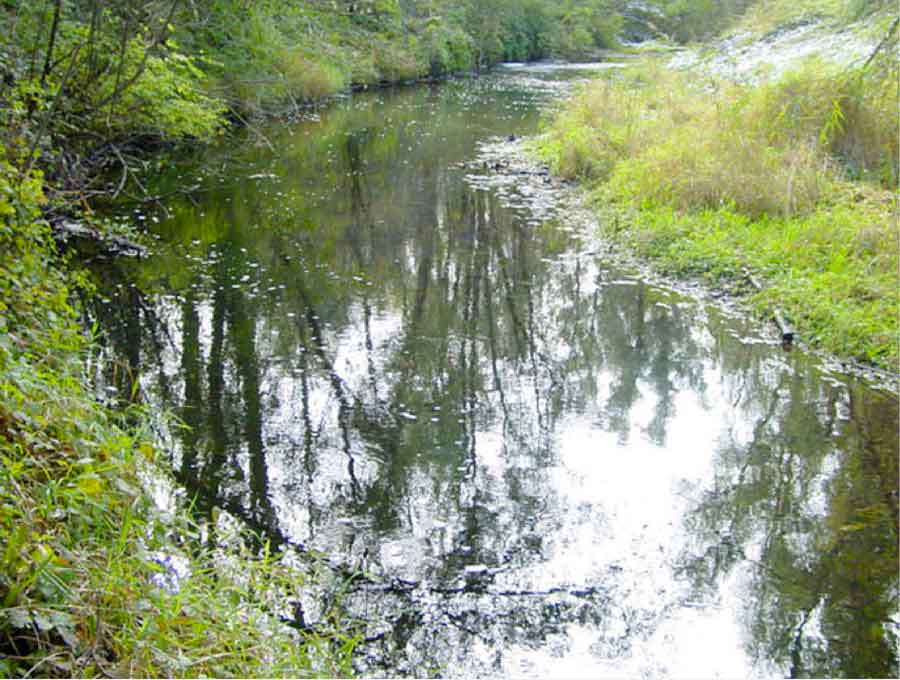 Moosbach Fischgew&Atilde;&curren;sser bei Rosenheim