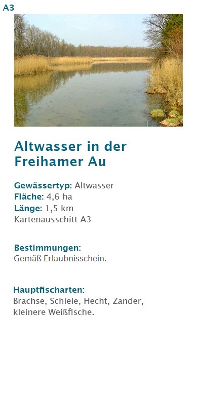 Altwasser in der Heberthaler Au