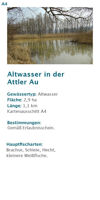 Altwasser in der Heberthaler Au